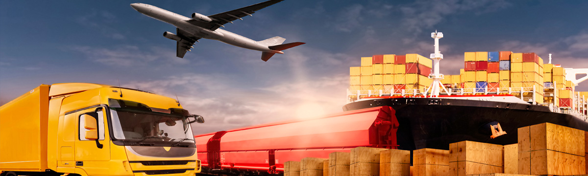 Export Banner